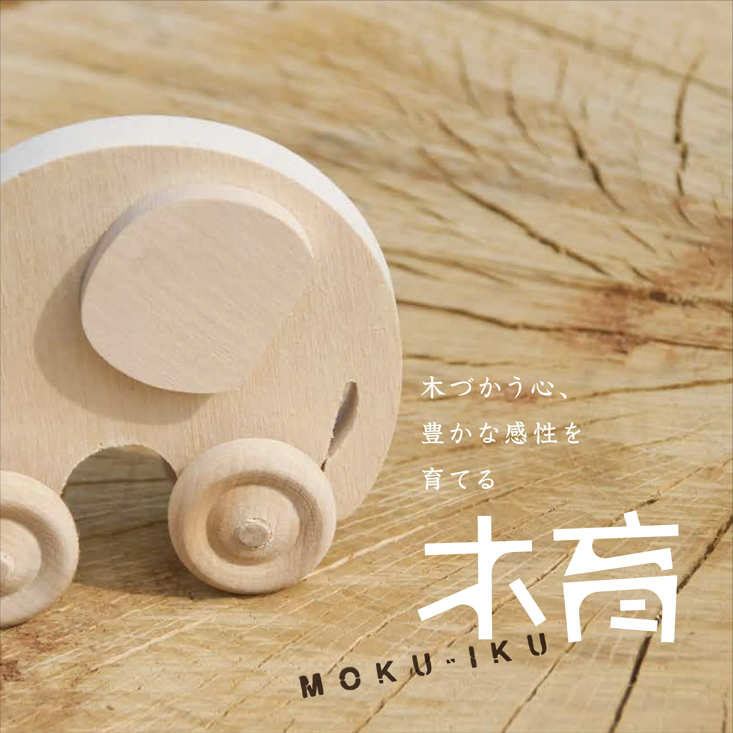 木育パンフレット（2025年版）
