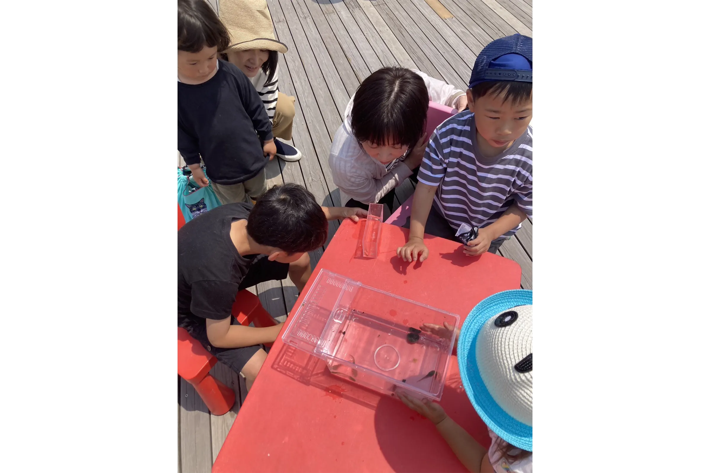 自然あそび体験