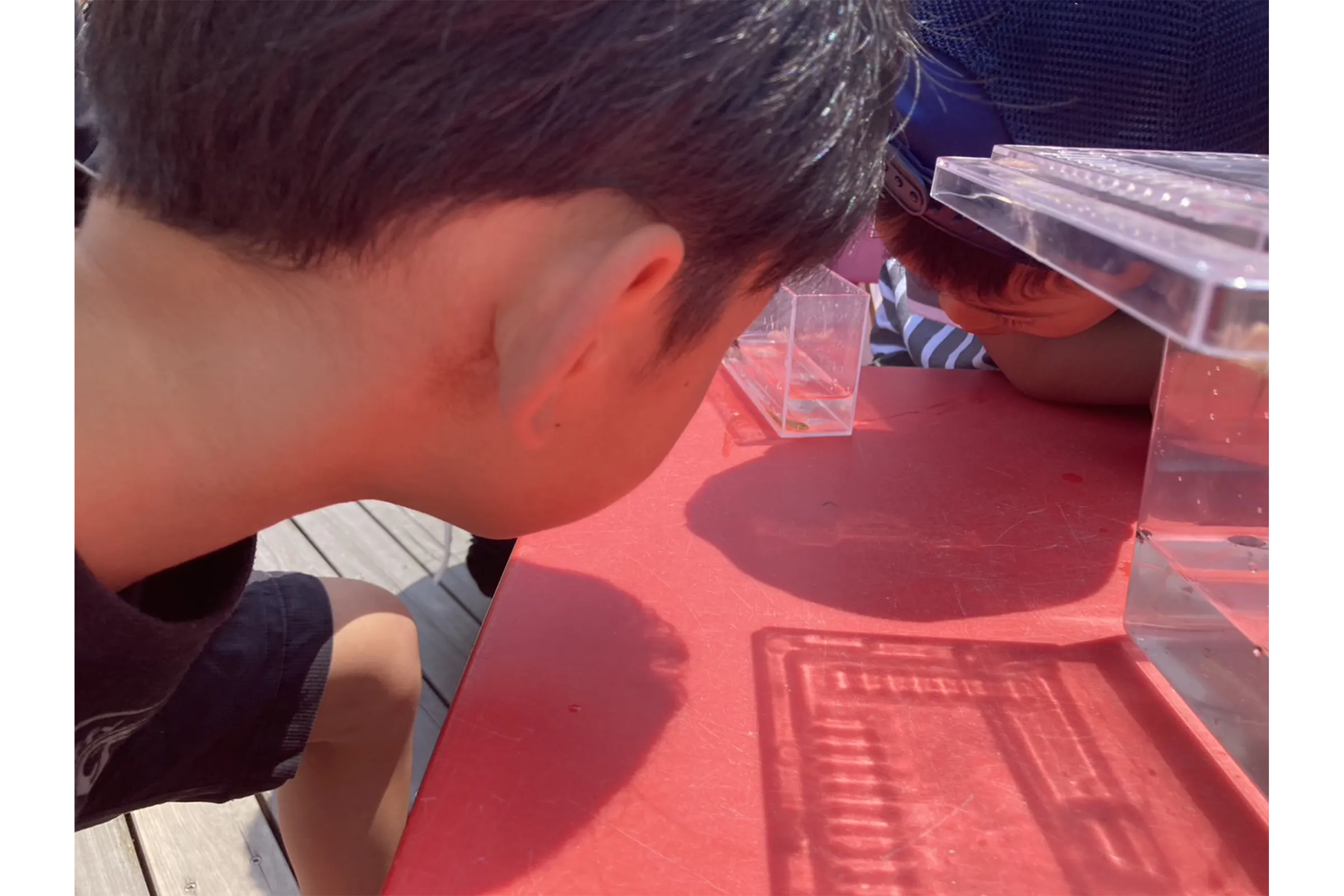 自然あそび体験