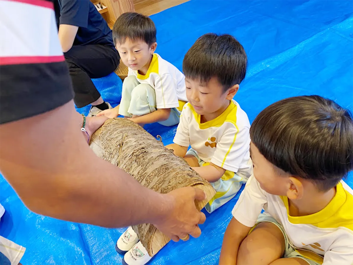 木育カリキュラム