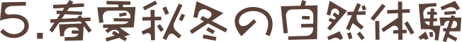5. 春夏秋冬の自然体験
